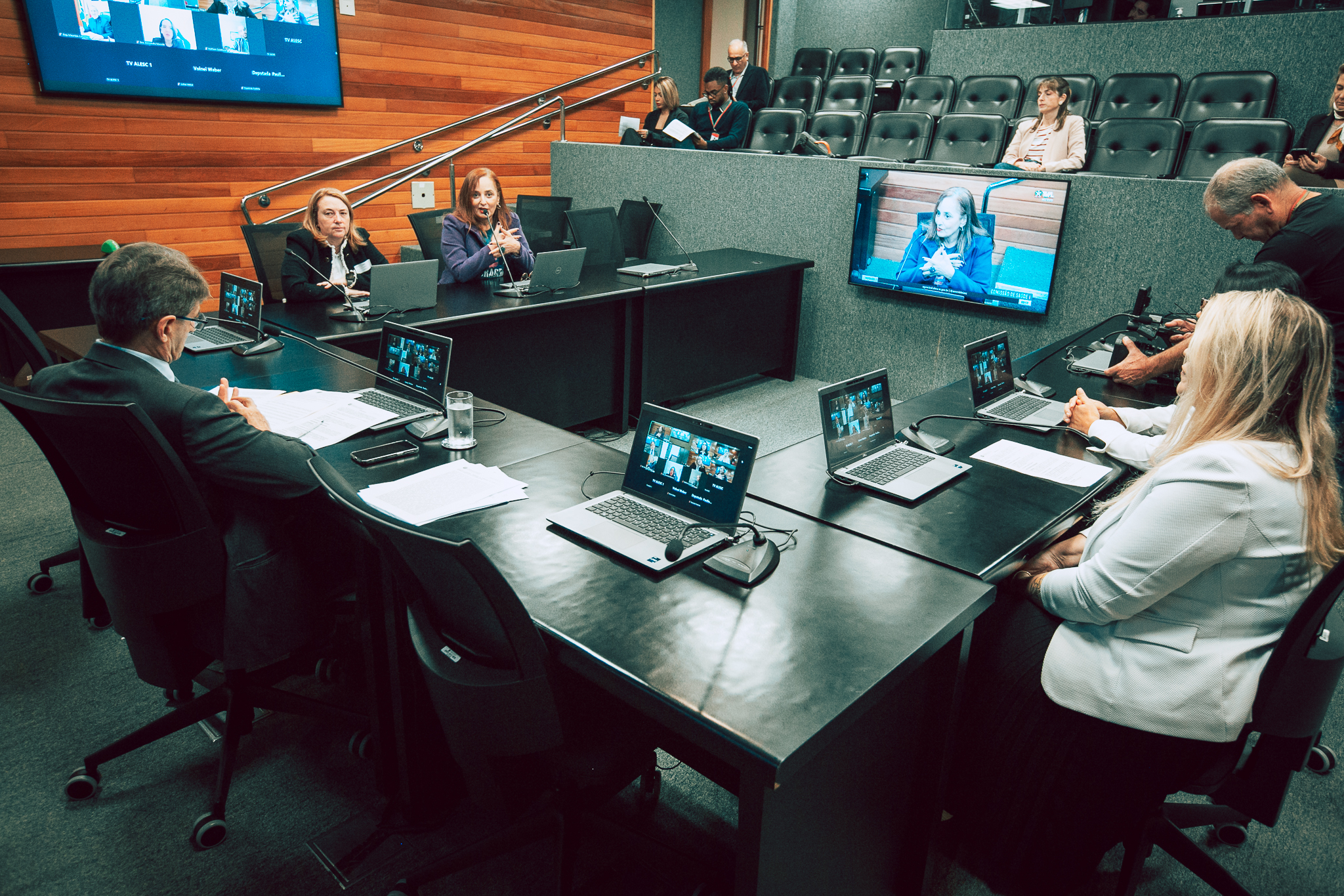 DII Brasil e Santa Catarina  Câmara Técnica pela execução da Política Nacional de Crohn e Retocolite 